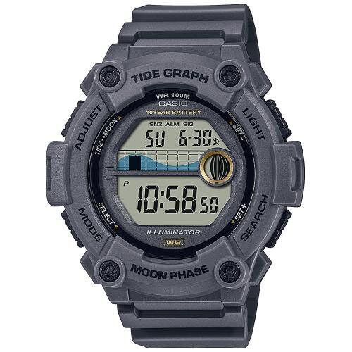 Часовник CASIO WS-1300H-8AVEF